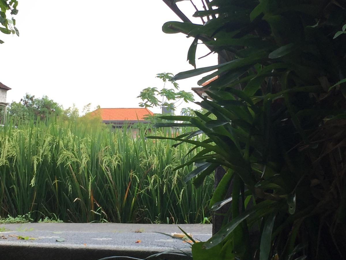 Apartmán Depong House Ubud Exteriér fotografie
